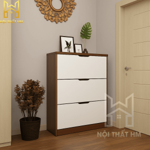 TỦ GIÀY THÔNG MINH TG10