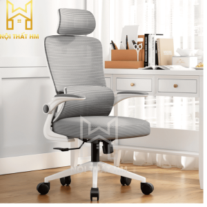 GHẾ CÔNG THÁI HỌC TINH TẾ GX22