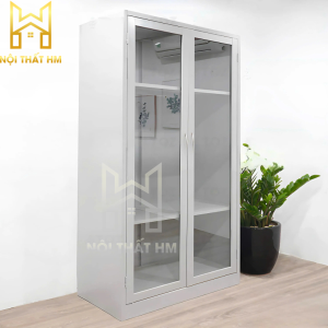 TỦ SẮT 2 CÁNH KÍNH DÀI TS06